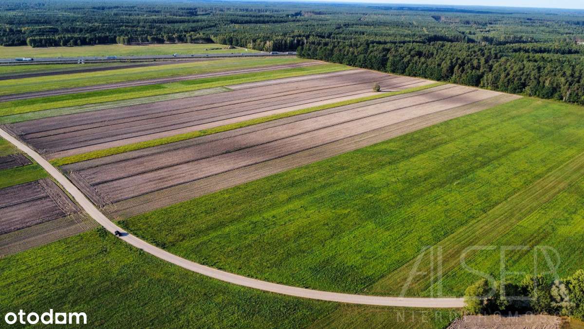 Działka Przemysłowo-Usługowa | Trzcianka | S8 - Pełny obrazek: 5/19