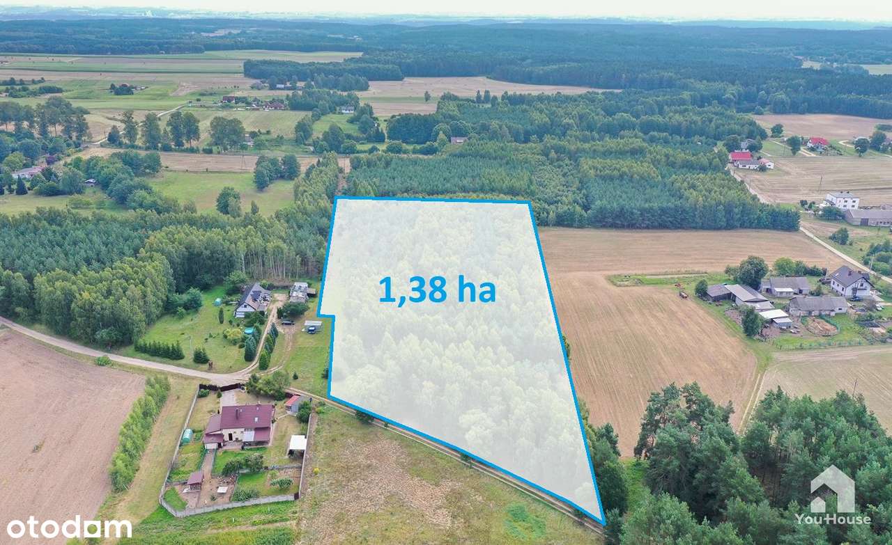 Las w Tereszewie - 1,38 ha - Pełny obrazek: 4/20