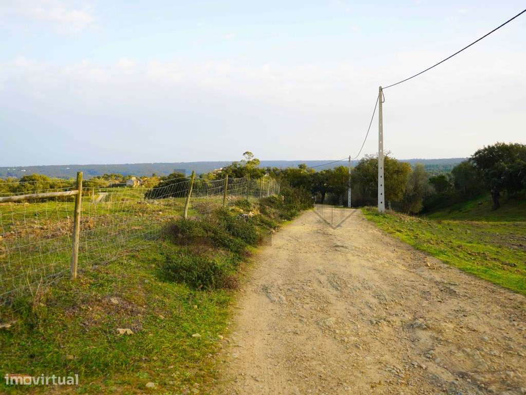 Terreno com 2,15 Hectares com Ruina na Serra de Grândola / Melides-16