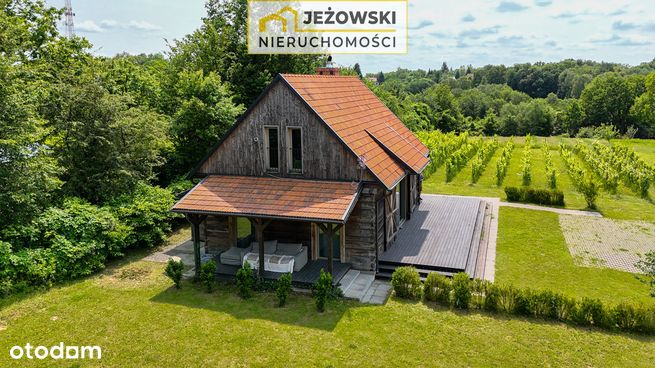 Rezydencja z dwoma domami i winnicą w Kazimierzu.-14