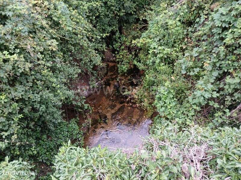 Terreno / Fundão, Atalaia do Campo - Grande imagem: 4/9