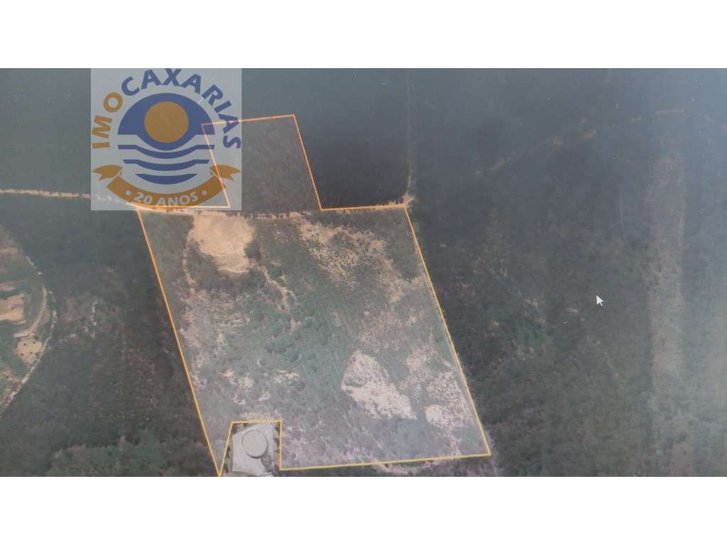 Terreno com Pavilhão(projecto aprovado) - Grande imagem: 4/4