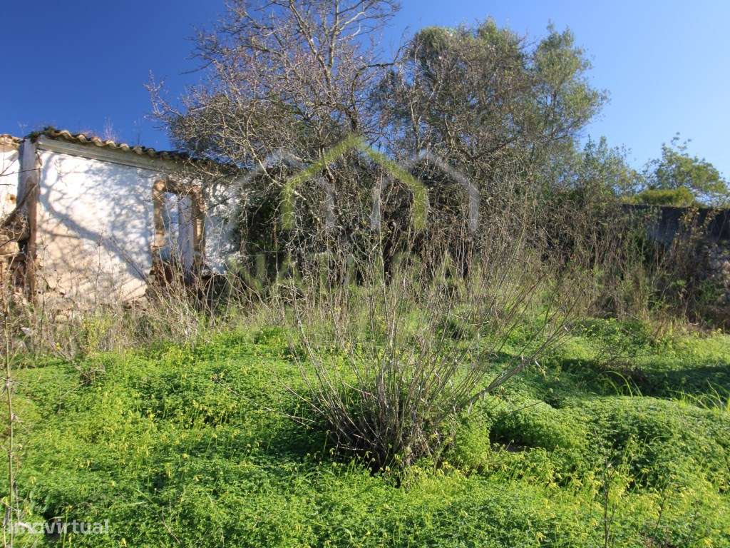 Terreno e Ruína Virado a Sul em Azinheiro, Estoi - Grande imagem: 3/15
