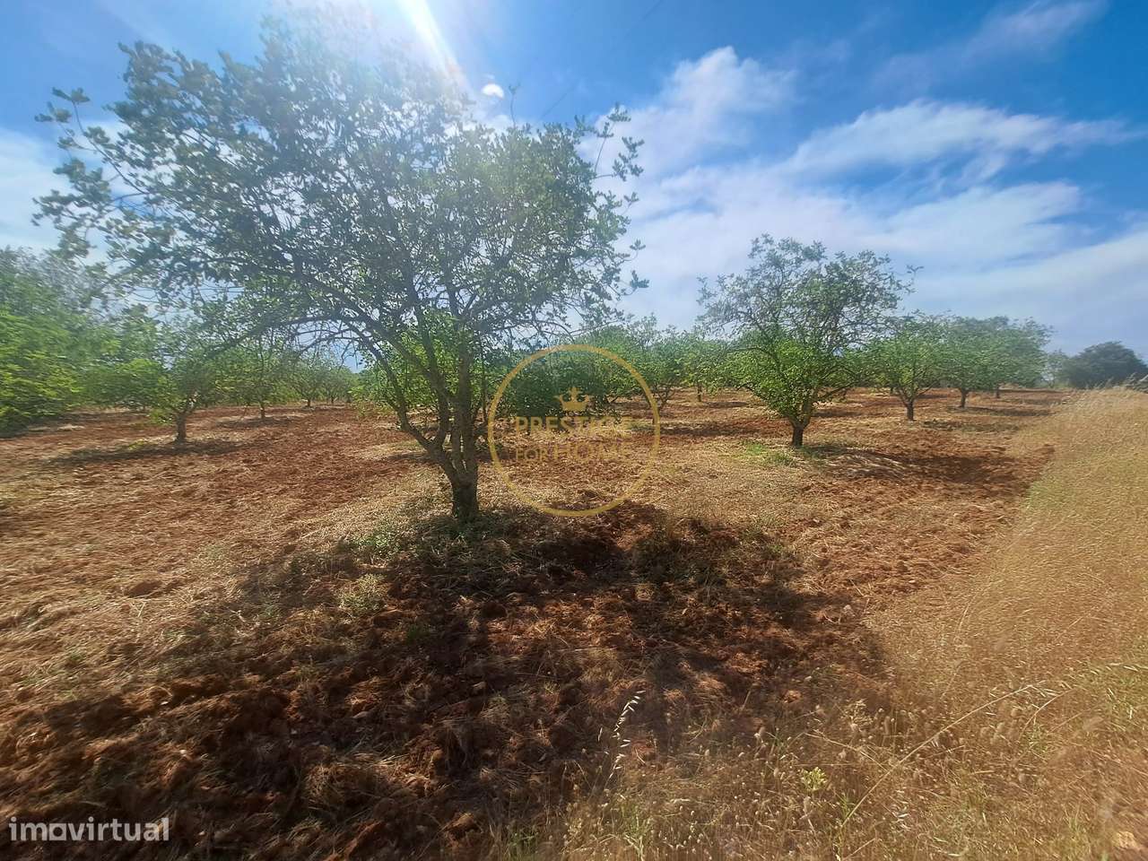 Terreno, 10 892 m², Paderne - Grande imagem: 5/15