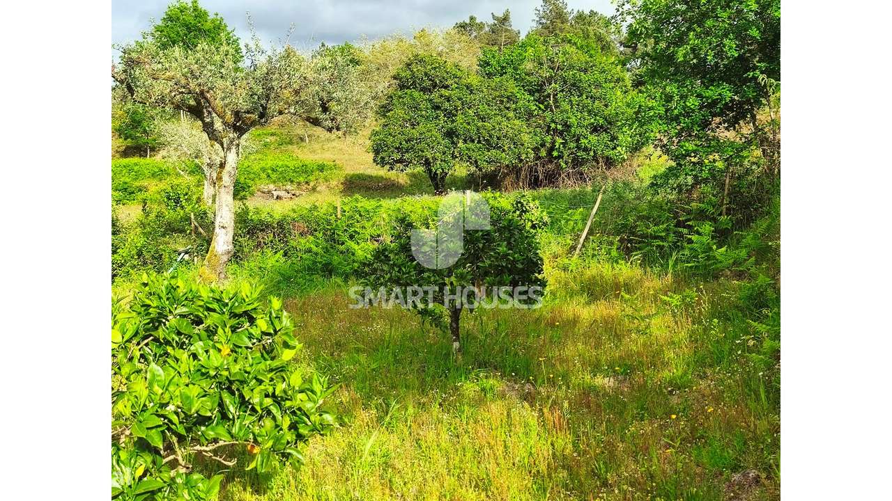 Quintinha em Vila do Mato-26