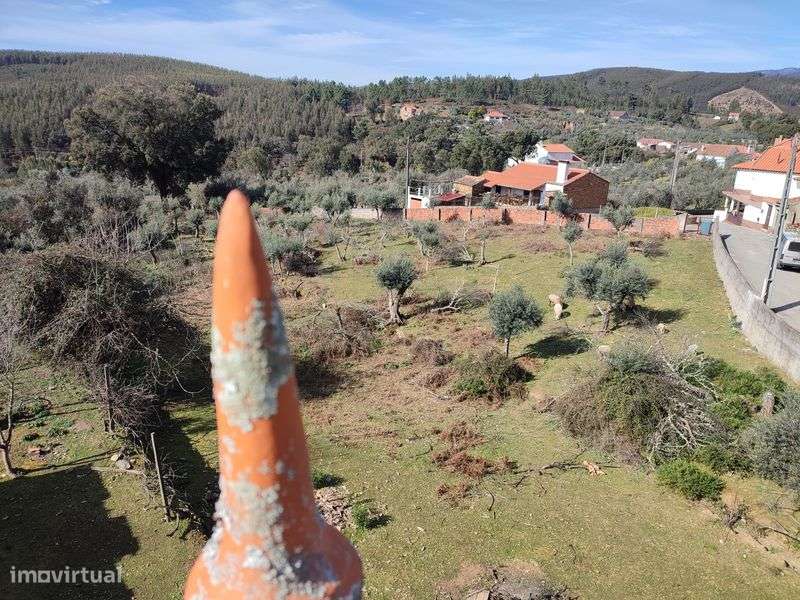 Moradia com terreno em Chã de Álvares – Excelente oportunidade - Grande imagem: 5/6