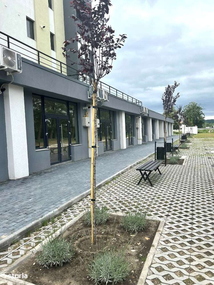 Apartament NR.31 - CU GRADINA - Parter - Curtea Interioara 1-17