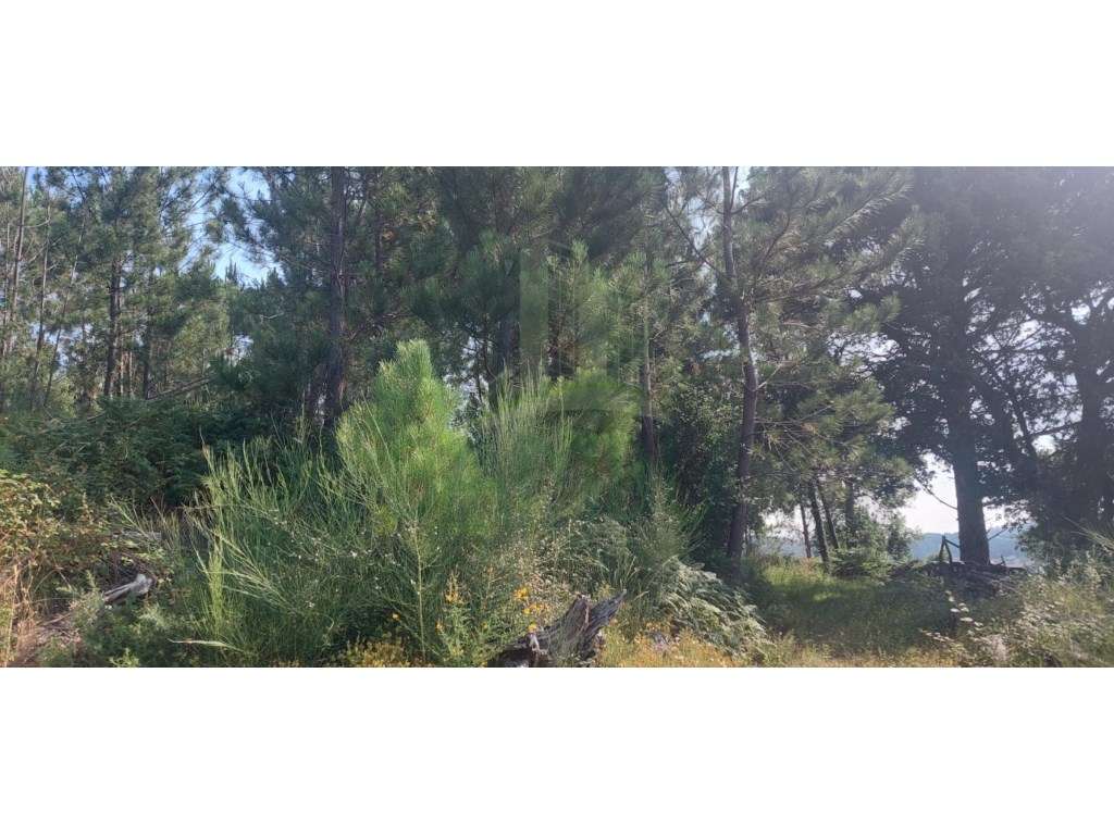 Terreno de construção para venda em Gondomil - Grande imagem: 4/9