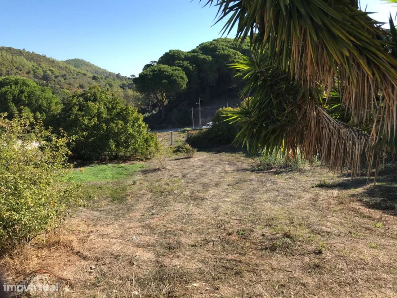 Terreno|Construção|Moradias |Parque Natural Arrábida|Pip Aprovado - Grande imagem: 4/9