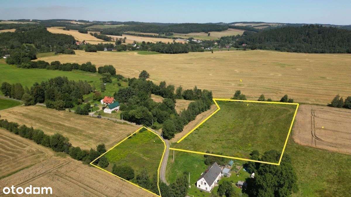 Pogórze Izerskie - Działka Siedliskowa+Rola-11
