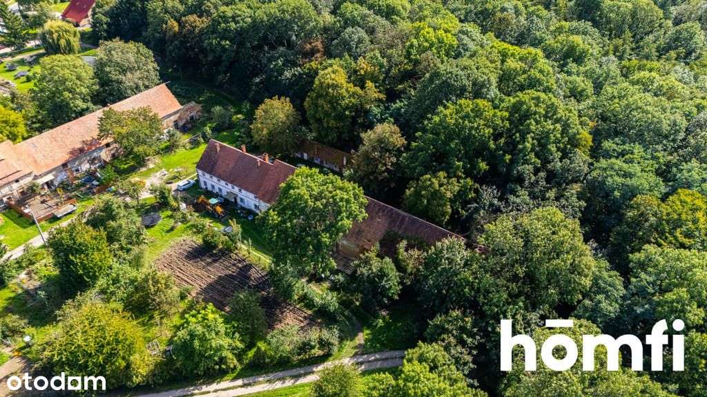 Działka pod lasem - dobry dojazd do Wrocławia - Pełny obrazek: 4/18