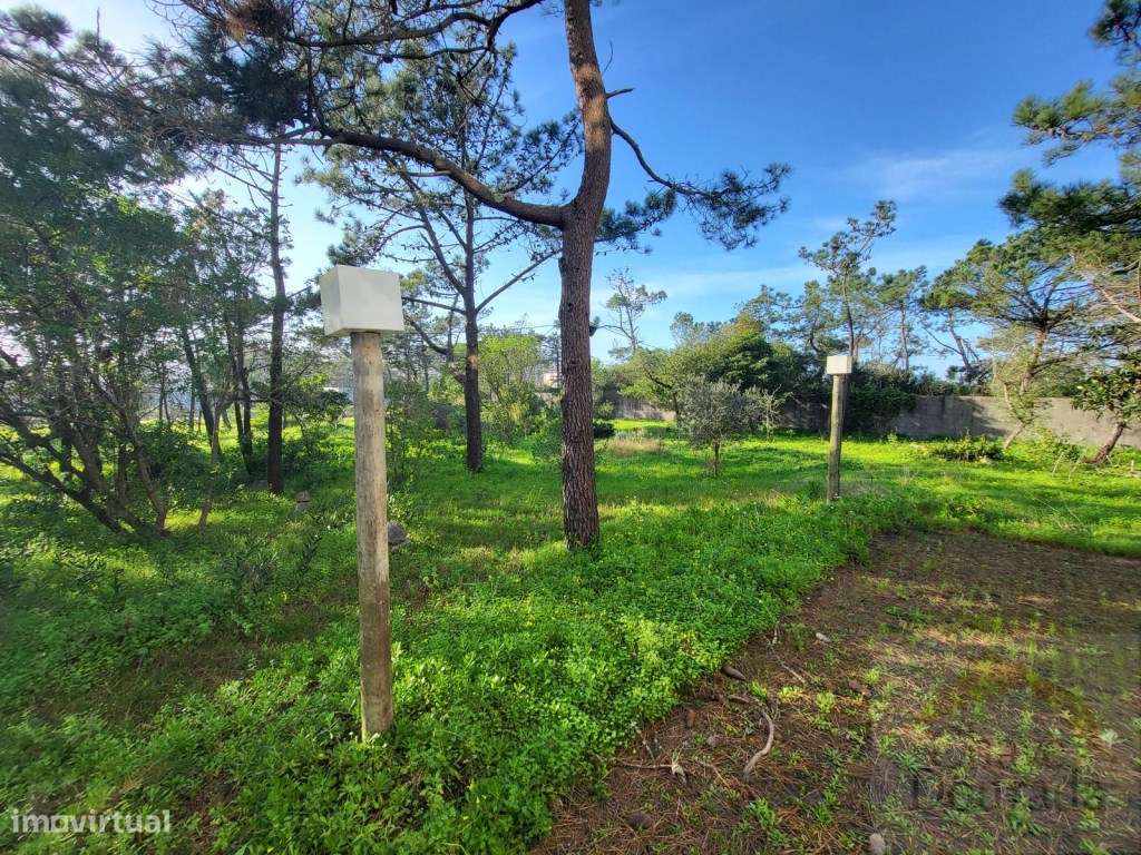 Hotel 3 estrelas - Figueira da foz-27