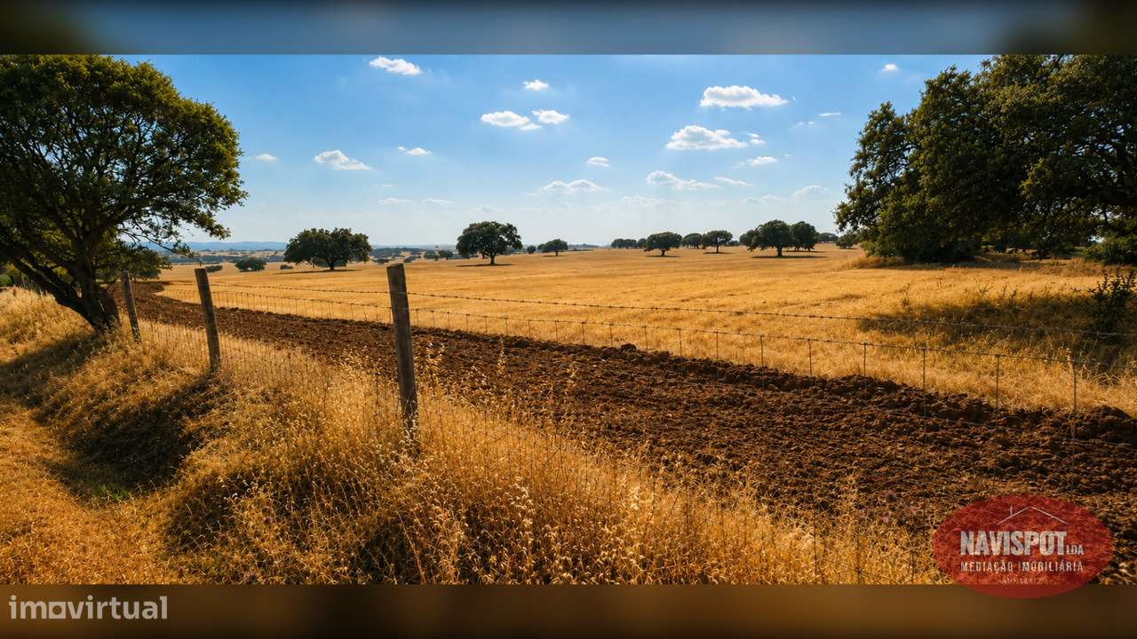 Herdade com 750 hectares no Alentejo-19