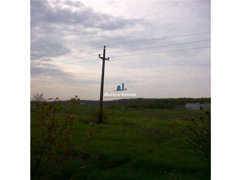 teren intravilan,  5000mp, Ciolpani - accept schimb - Imagine principală: 4/6