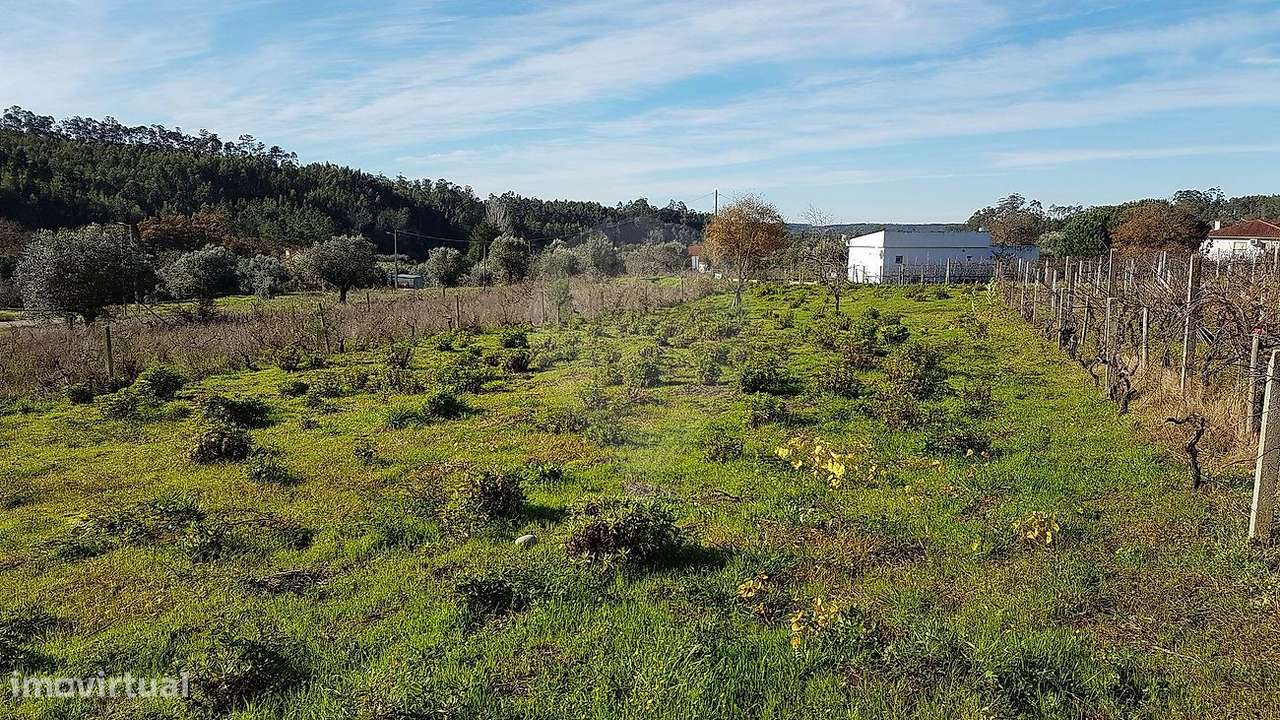 Terreno  para venda - Grande imagem: 5/7