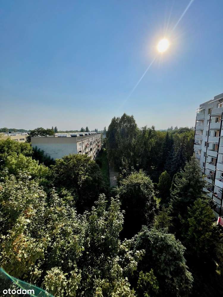 4 pokoje z balkonem ostatnie piętro Mokotów Służew-14