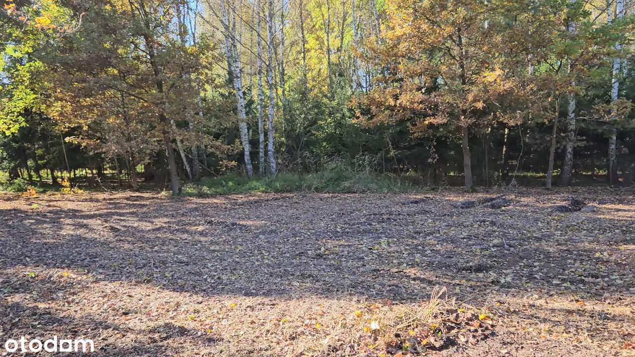 Działka w kolorach jesieni-5