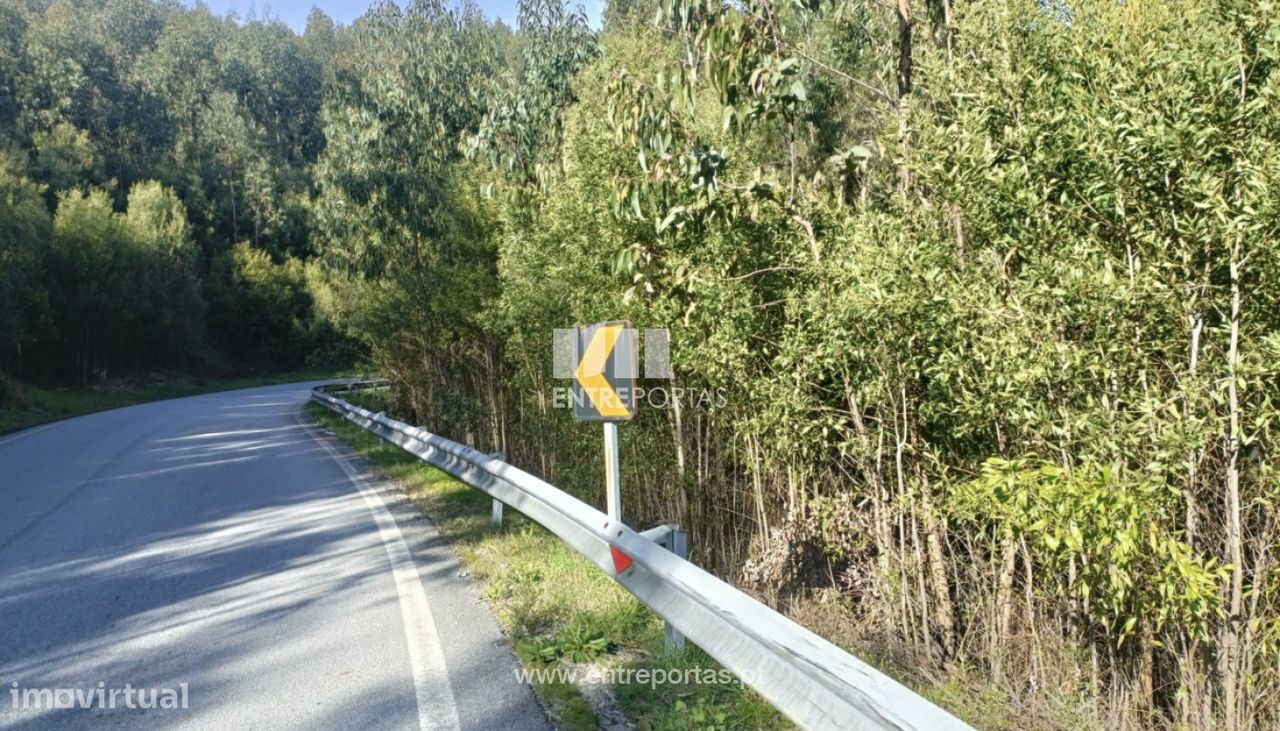 Venda Terreno  Vila Cova Penafiel