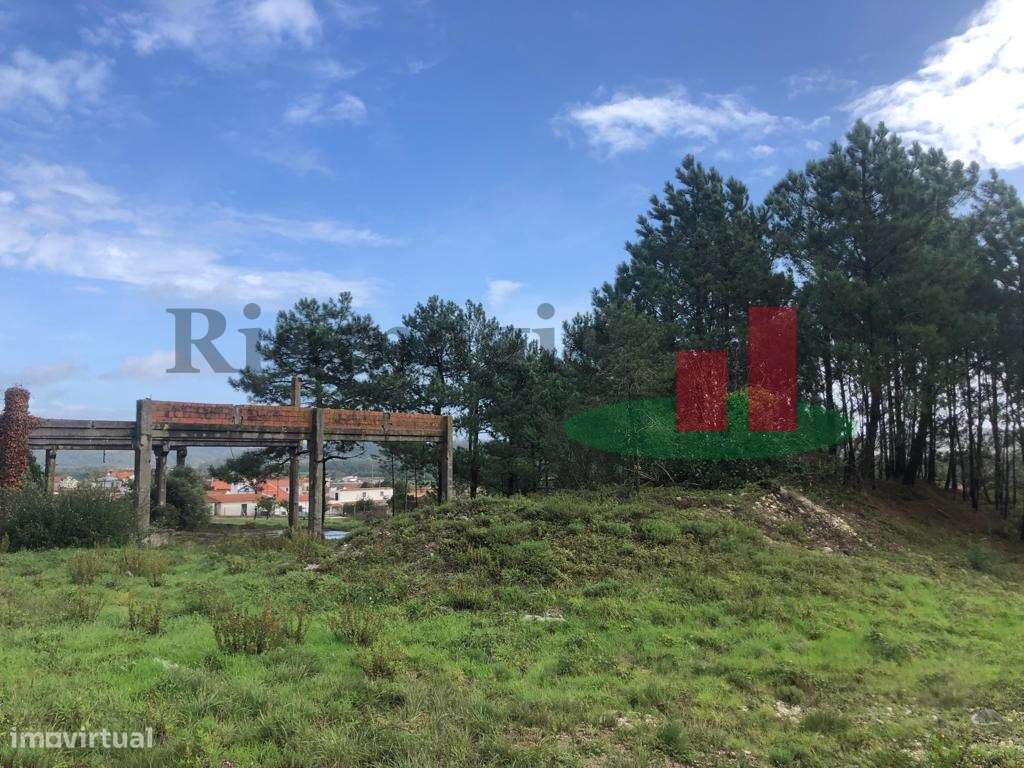 Terreno Rústico - Em Campo Caldas da Rainha ***RIOMAGIC*** - Grande imagem: 5/22