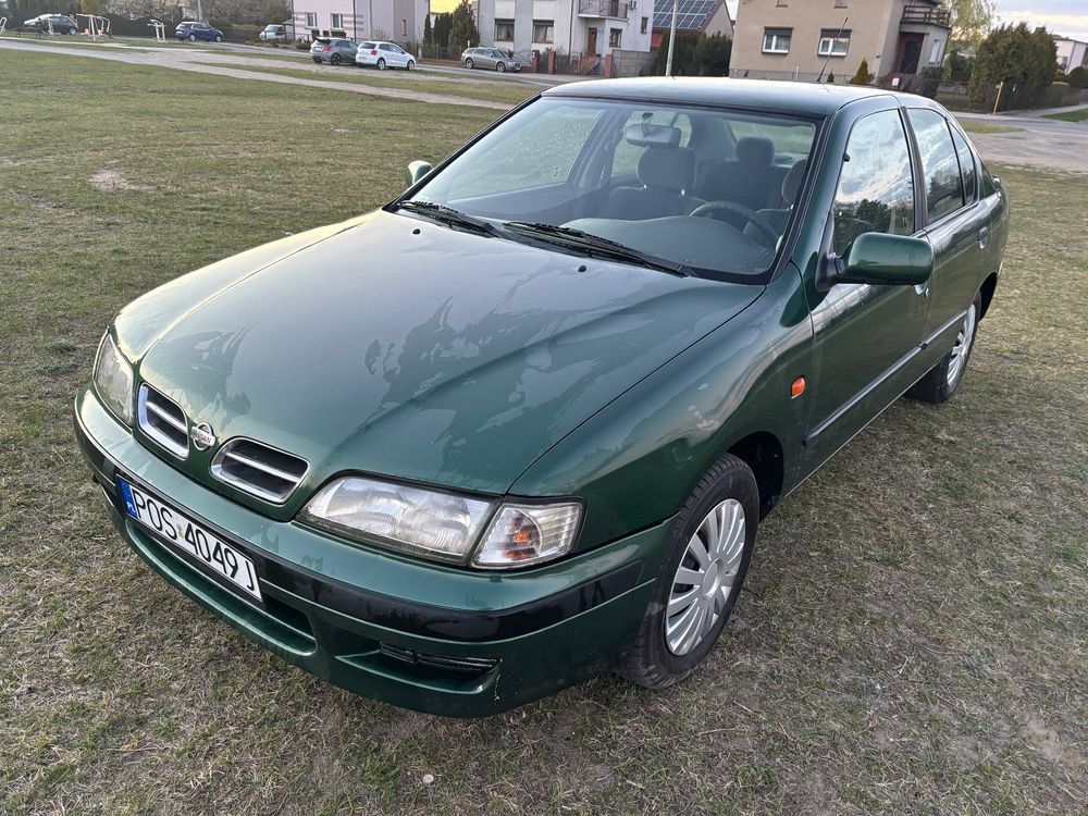 Nissan Primera P11 2011