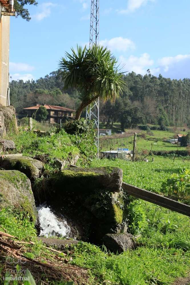 Quinta dos Moinhos - T4 de 7.100 m² de terreno em Penafiel para VENDA-26