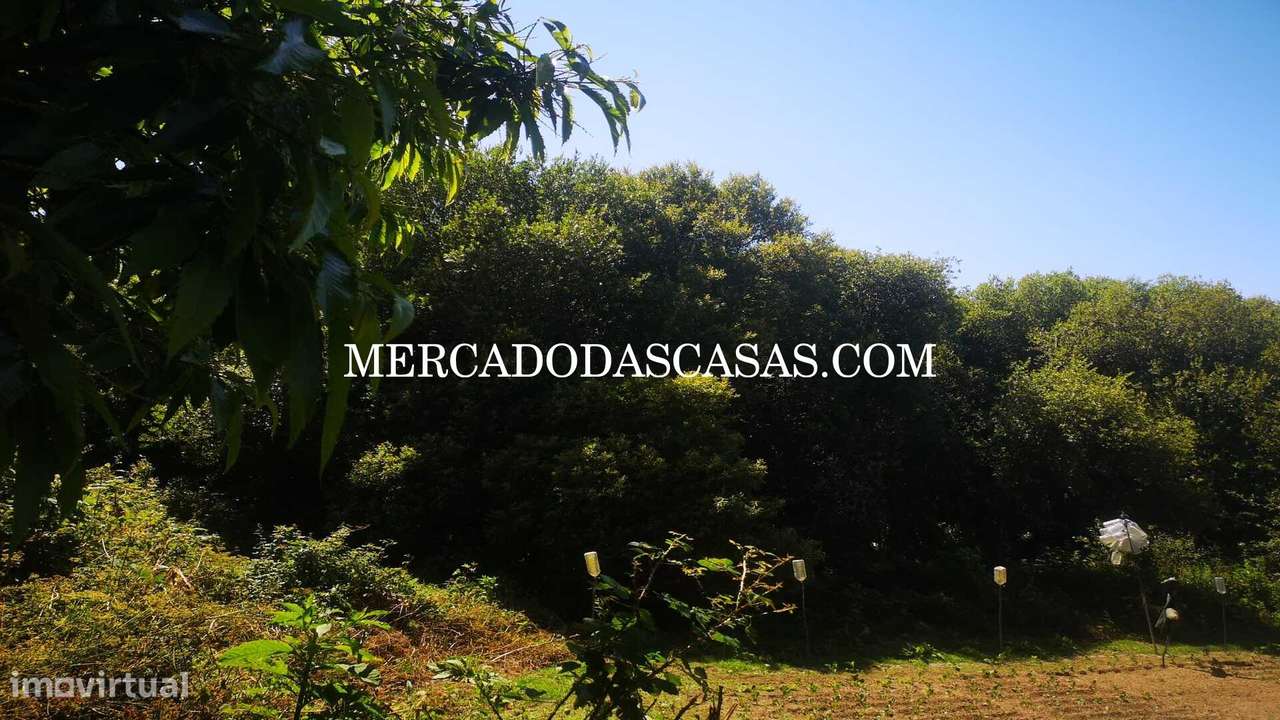 Terreno c/ 2800 m2 em São Paio Oleiros - Grande imagem: 2/4