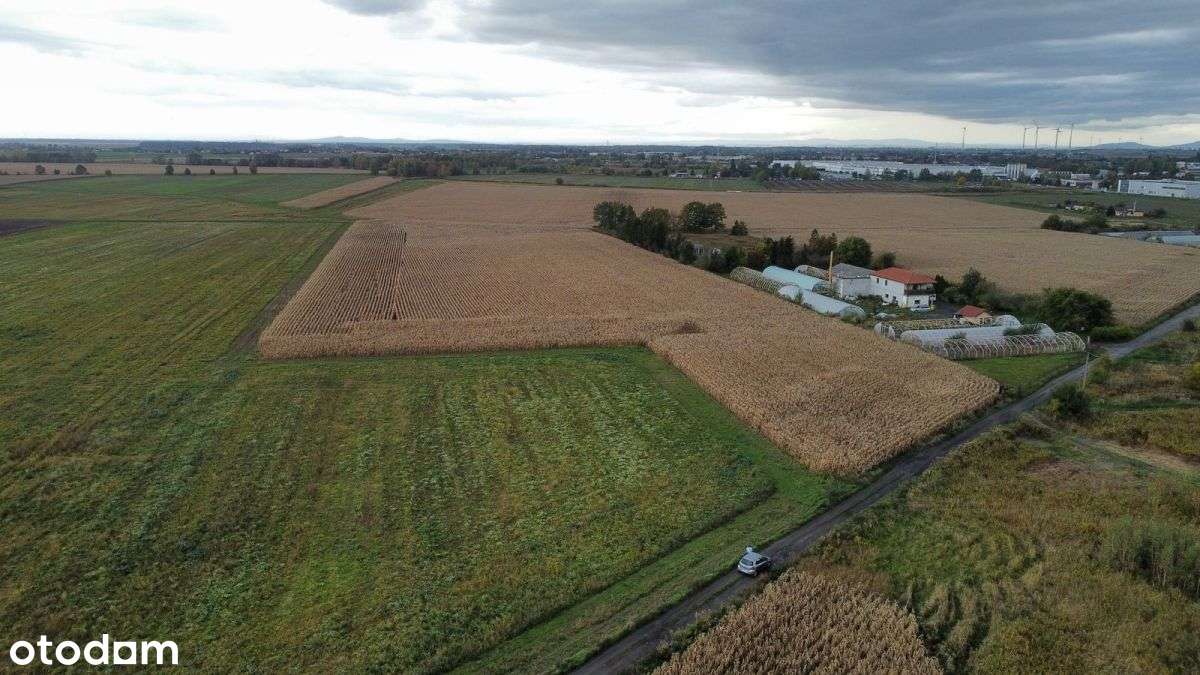 Działka z duzymi możliwościami w Ścinawie Polskiej - Pełny obrazek: 4/7
