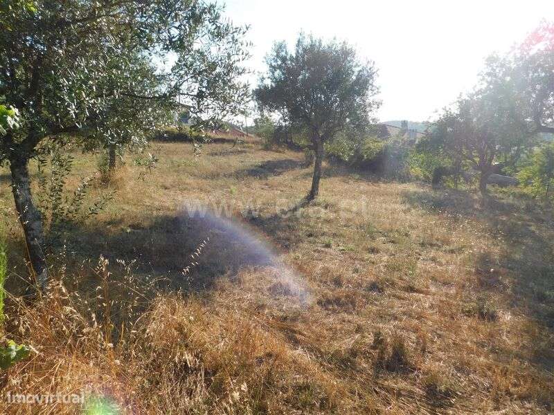 Terreno / Seia, Seia - Grande imagem: 3/12