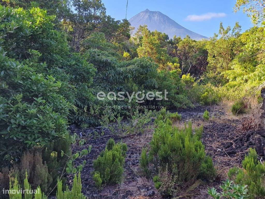 Terreno para construção com privacidade e vista Mar e Montanha - Grande imagem: 4/15