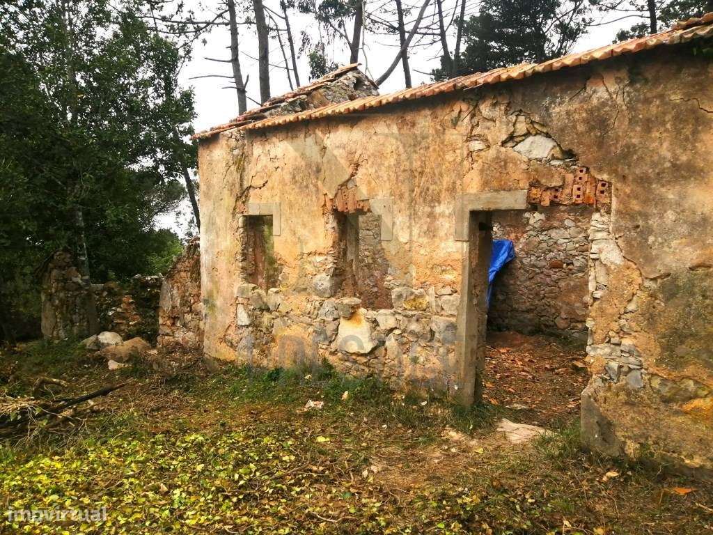 Terreno urbano na Serra da Boa Viagem - Grande imagem: 4/11