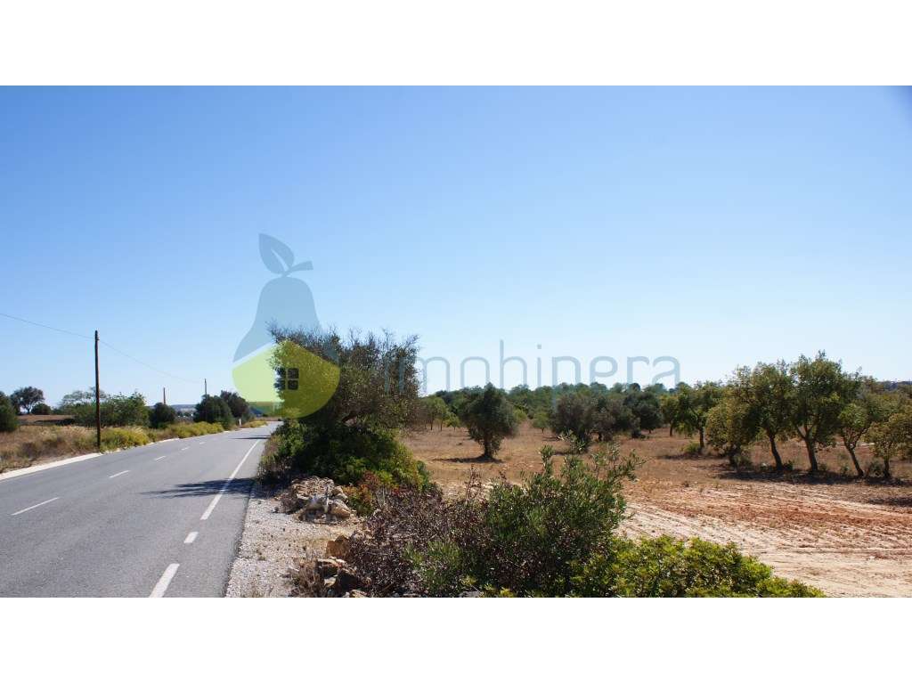 Terreno muito bem localizado em Algoz no centro do Algarve - Grande imagem: 2/11