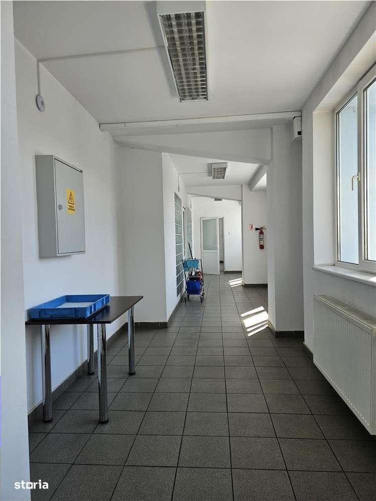 Exclusivitate - Proprietate Industriala De Vanzare - Productie - Depoz-19