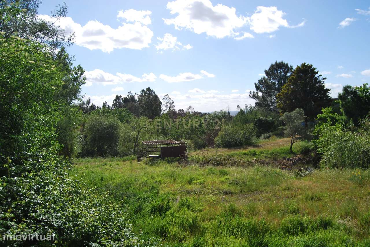 Terreno rústico 28200m2 em Vale do Junco, Chamusca, Golegã-19