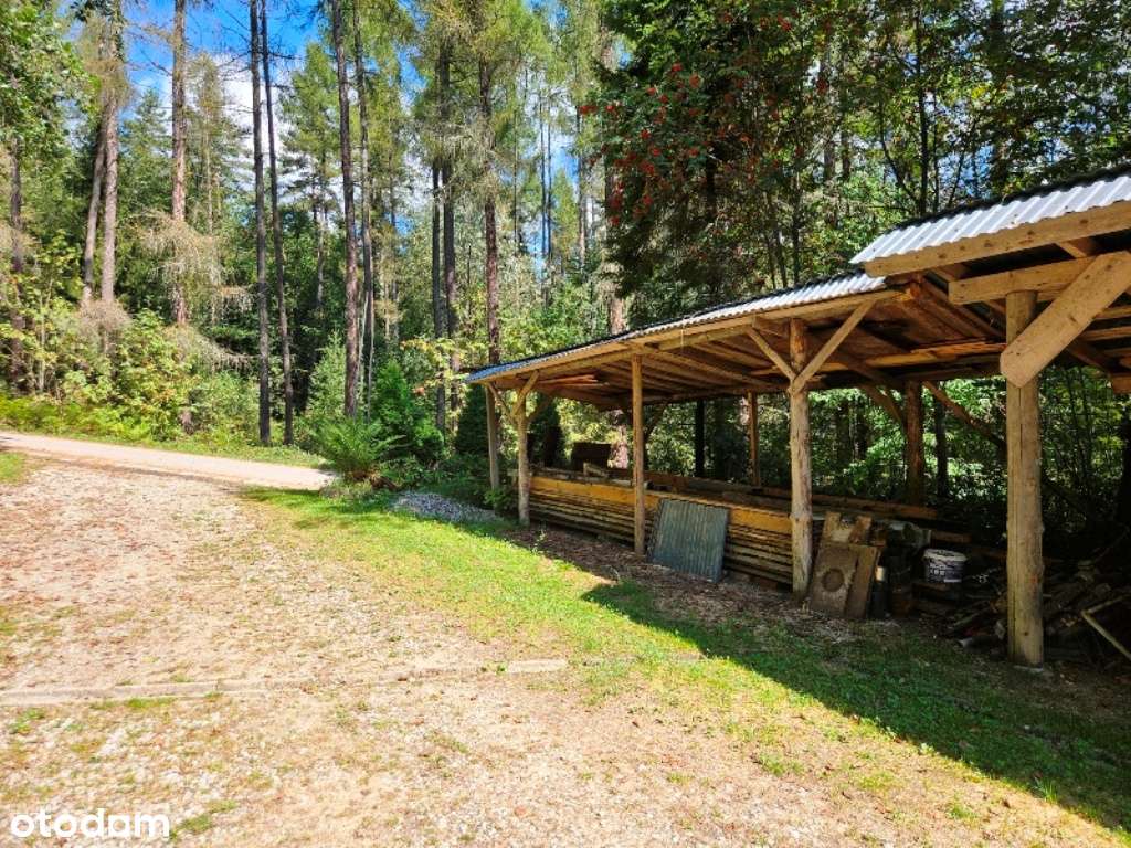 Dom na widokowej działce pod lasem-11