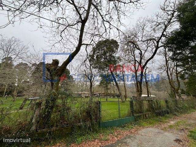 QUINTA - RESTAURANTE - PONTE DE LIMA - Grande imagem: 5/30