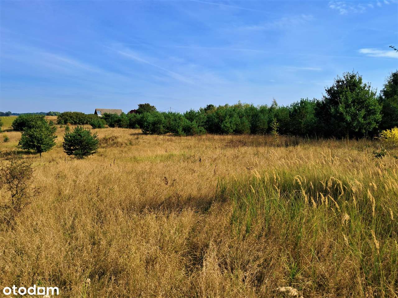 Na sprzedaż 5 działek budowlanych w Ławach z pięknym widokiem-5