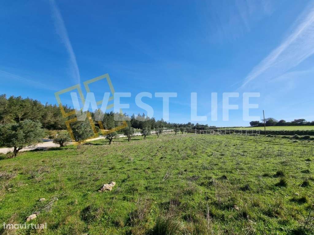 Terreno Rústico / Agrícola de 6875m2 perto de todas as infraestrutu... - Grande imagem: 5/15