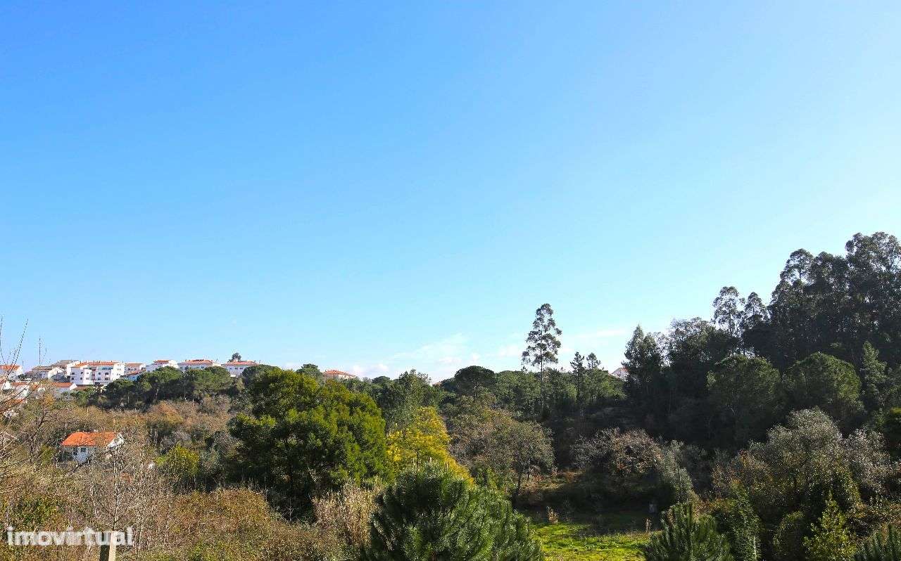 63000m2 Loteamento pré aprovado - Grande imagem: 3/9