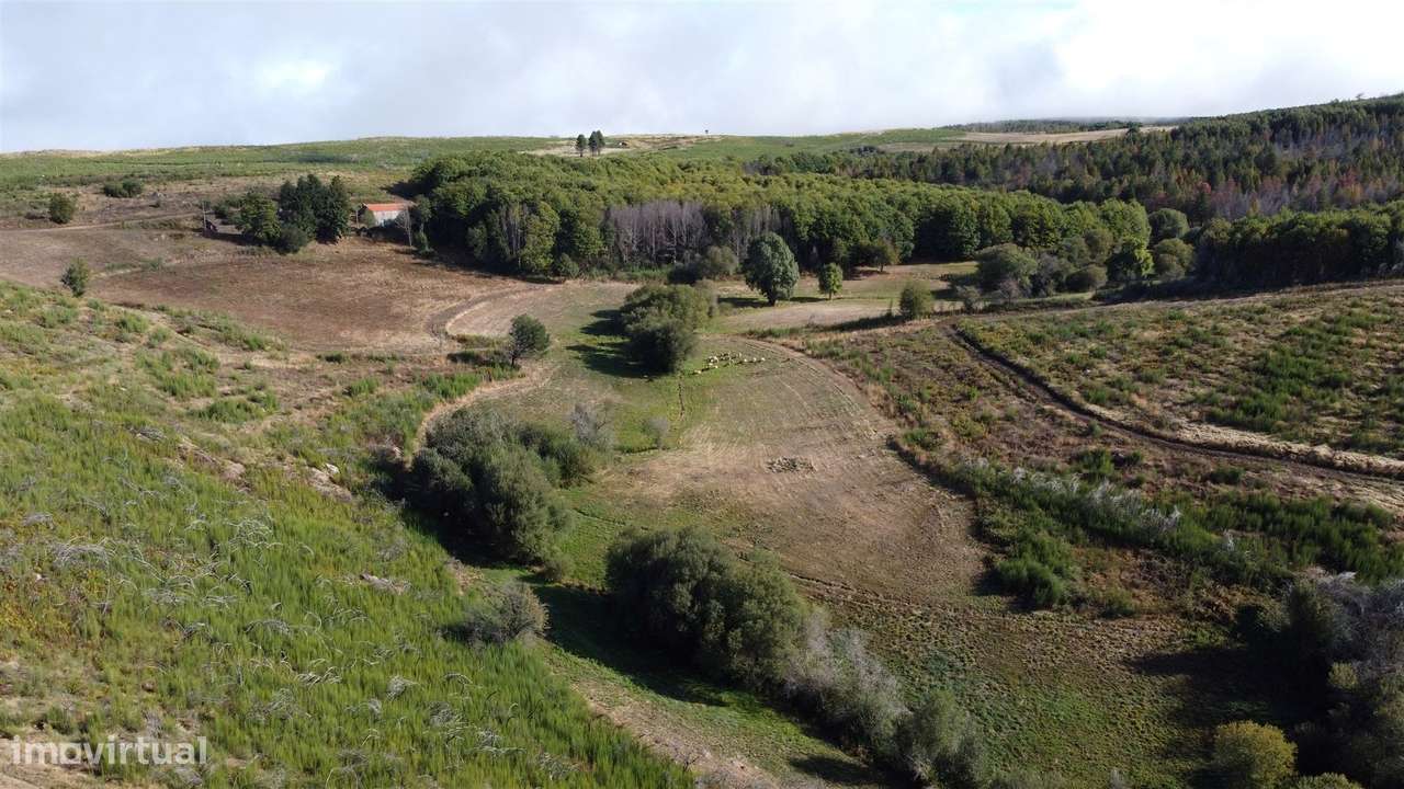 Duas habitações em 18 hectares-7