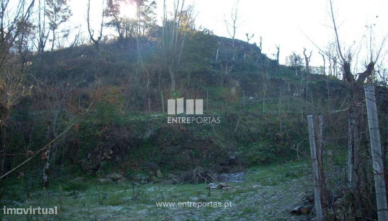 Venda Terreno, Soalhães, Marco de Canaveses - Grande imagem: 2/6