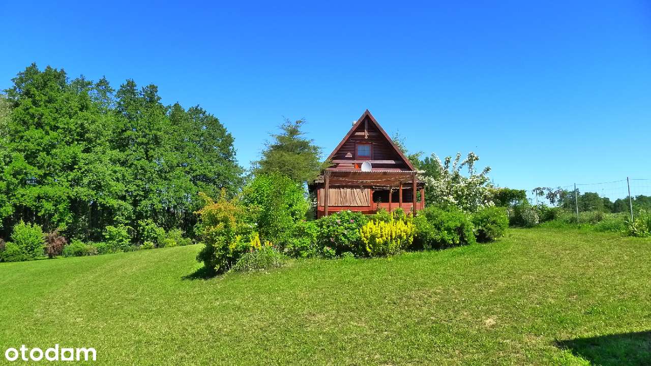 Filipów - domek koło lasu i jeziora - Pełny obrazek: 2/20