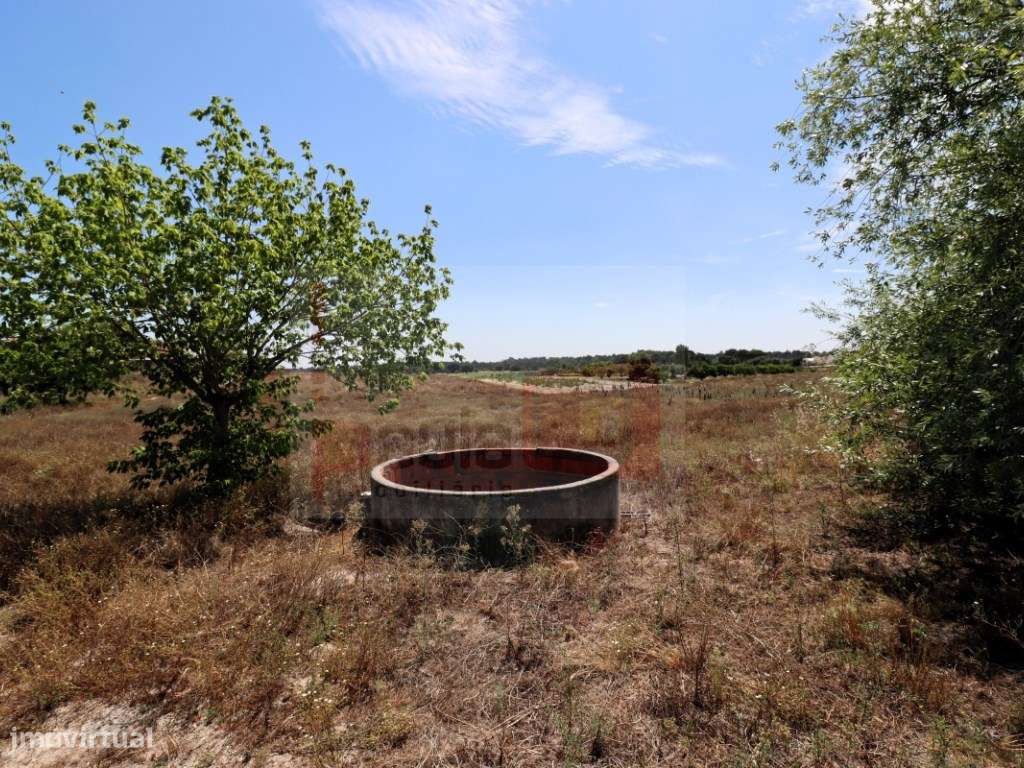 TERRENO COM 18150M2 FOROS DO CARRAPATAL - CANHA - MONTIJO - Grande imagem: 4/12