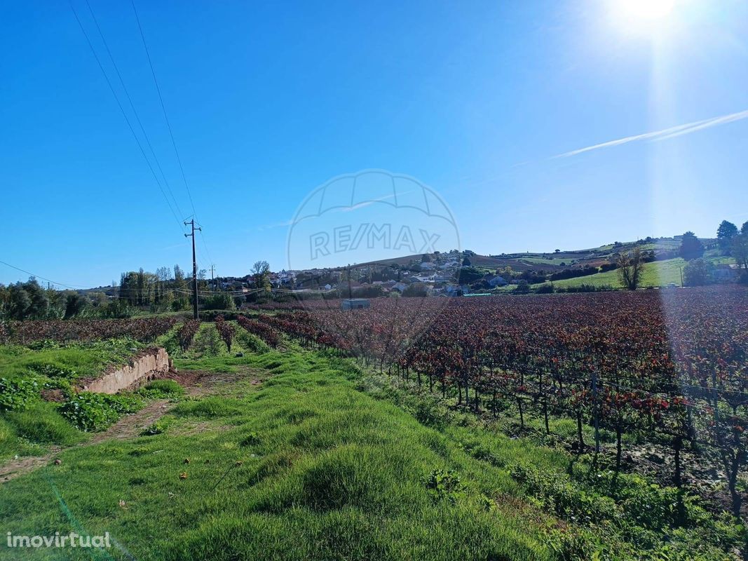 Terreno  para venda