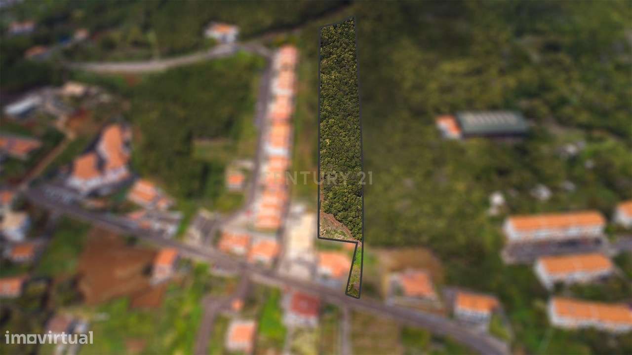 Terreno de 4734m² com Vista Mar em Santa Cruz – Madeira - Grande imagem: 2/5