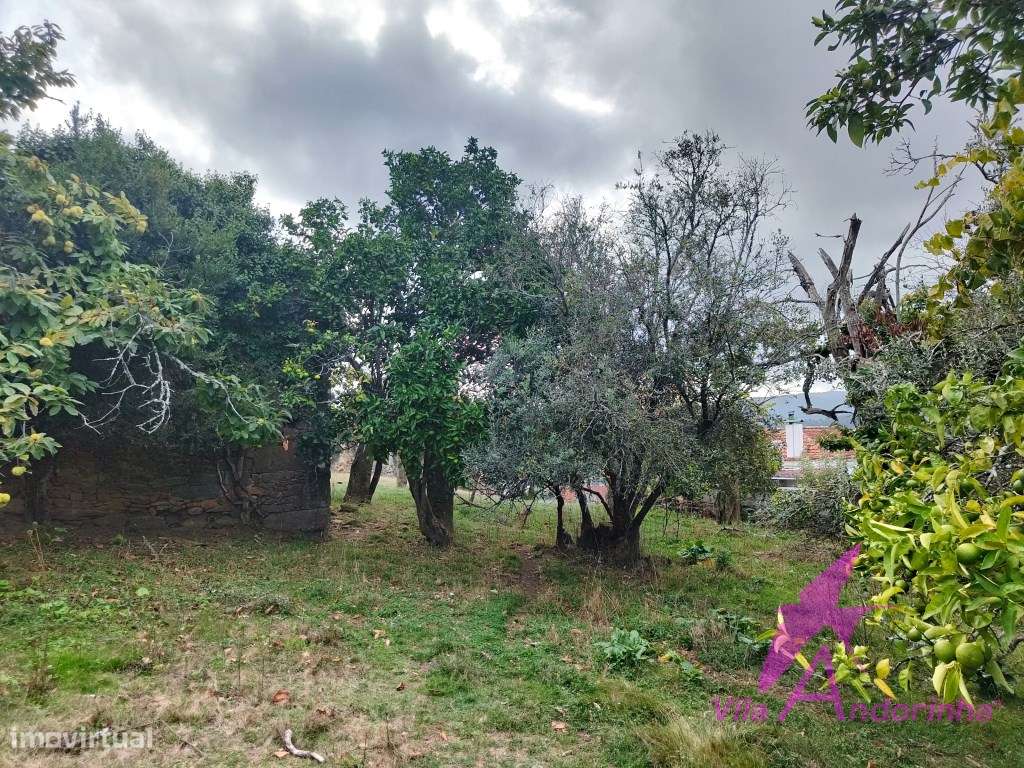 Terreno com Anexo em Pedra em Samonde - Santa Marta de Portuzelo-4