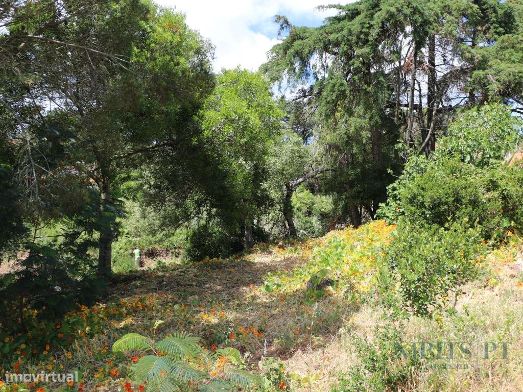 À VENDA: Lote com vista mar em Malveira da Serra - localização elev...-14
