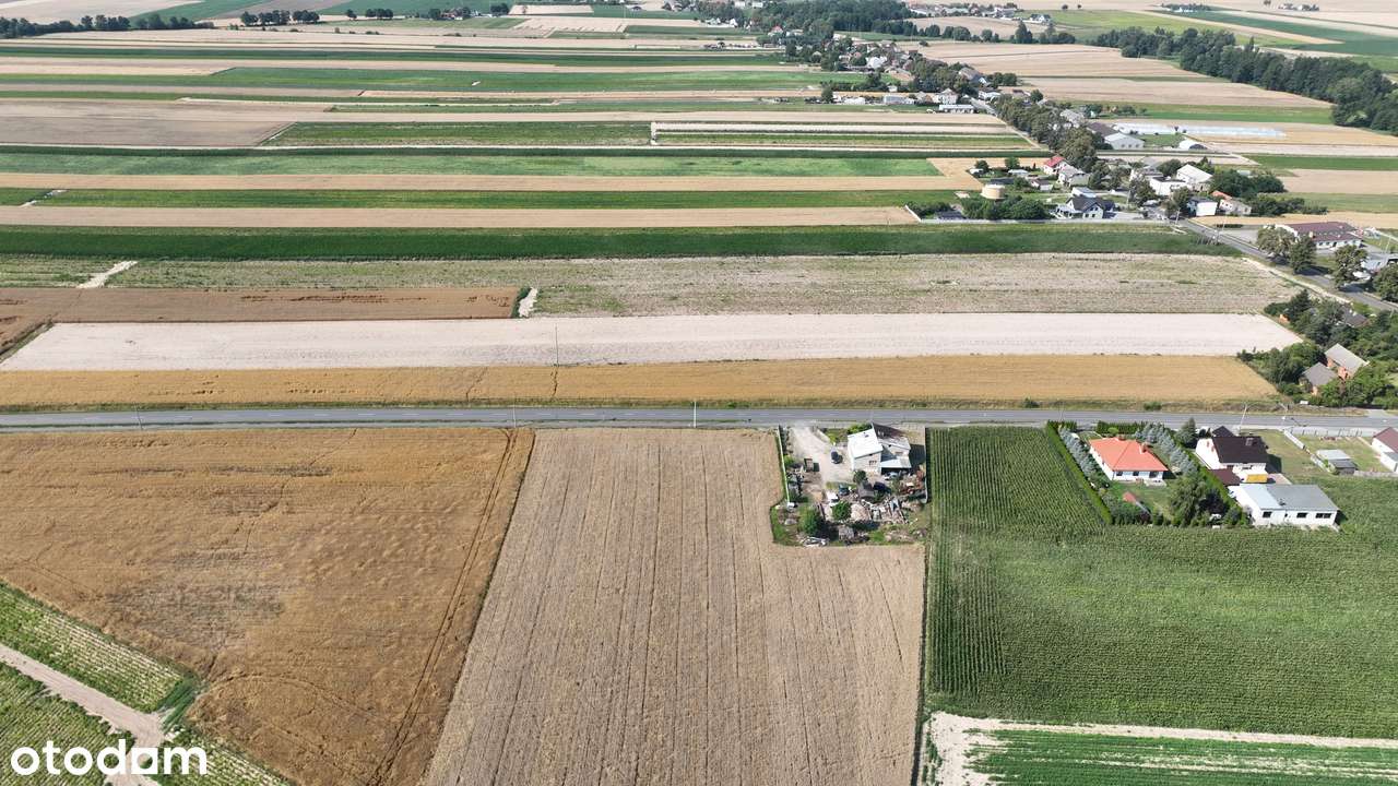 Działki budowlane Kucharki - Pełny obrazek: 5/5