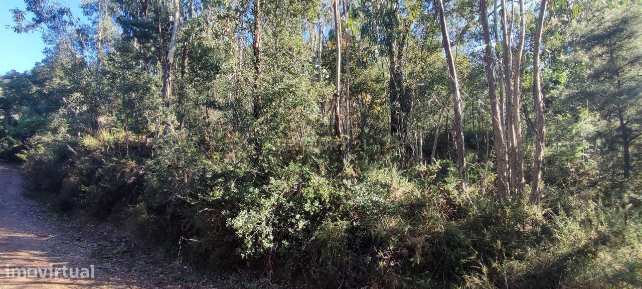 Quinta Casal dos Frades — mais de 53 hectares de legado e paisagem, às - Grande imagem: 4/7