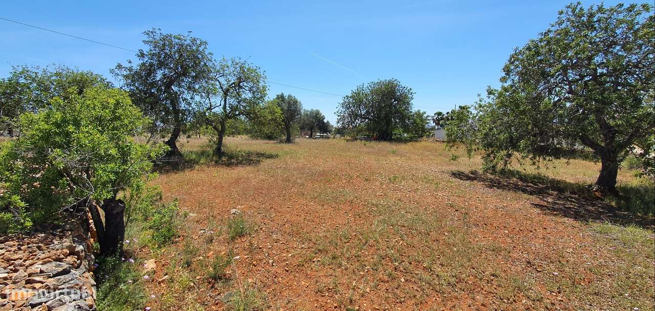 Terreno com vista de mar com área de construção-28