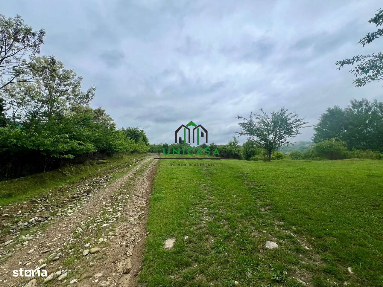 Teren 3507 mp/ Seaca/Calimanesti - Imagine principală: 2/4